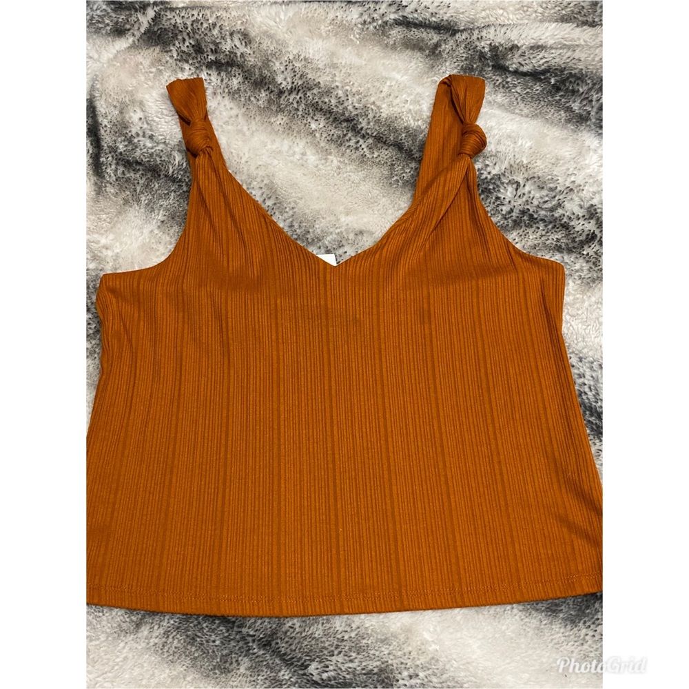 Ginger Crop Top 🦊